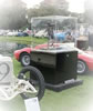 2016ameliaisland06